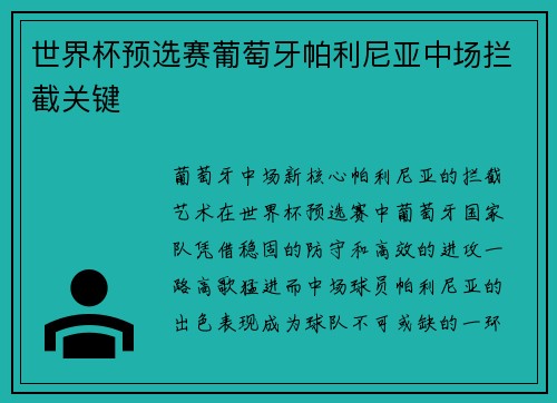 世界杯预选赛葡萄牙帕利尼亚中场拦截关键